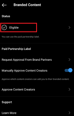 Instagram branded content tool eligibility