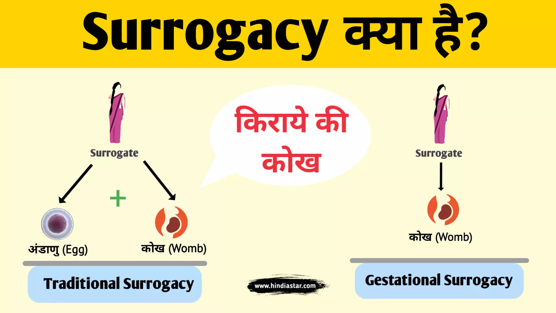 surrogacy-what-is-surrogacy-meaning-in-hindi-hindiastar